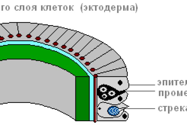 2krn at krakendarknet top