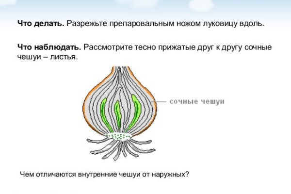 Адрес сайта кракен