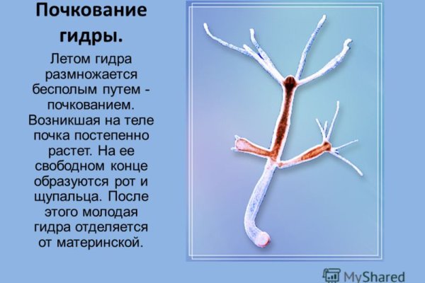 Ссылки на кракен com